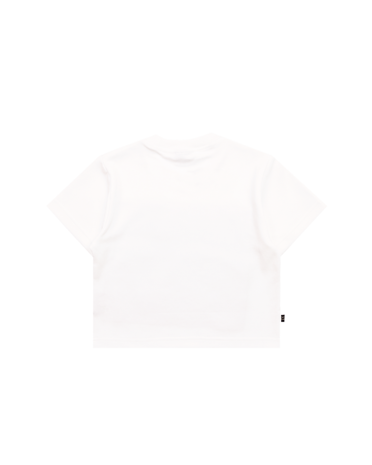 KEYNOTE | Aqua Title Crop Top White - SWAGANZ