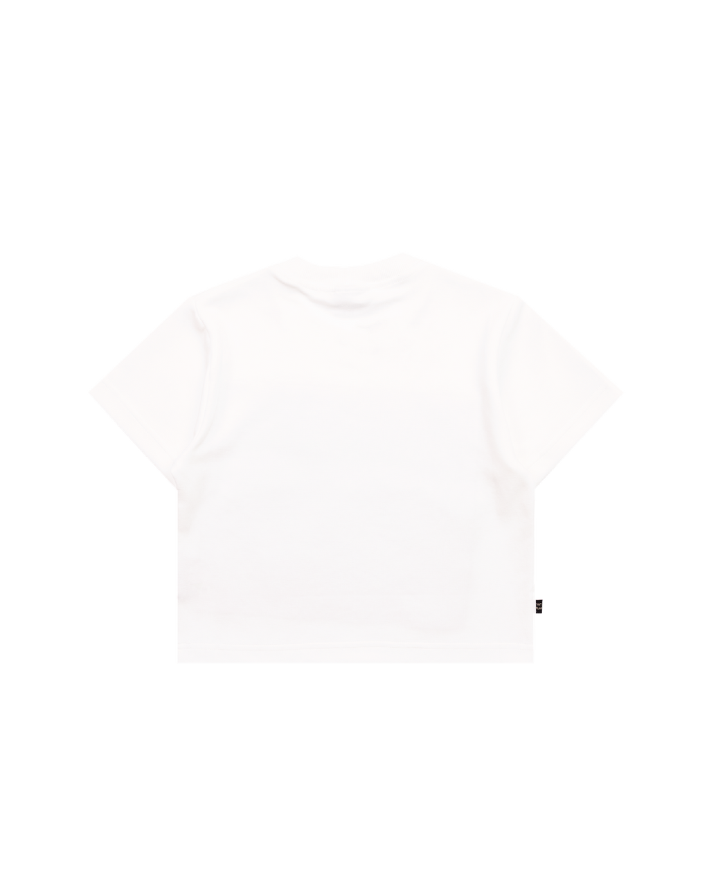 Aqua Title Crop Top White