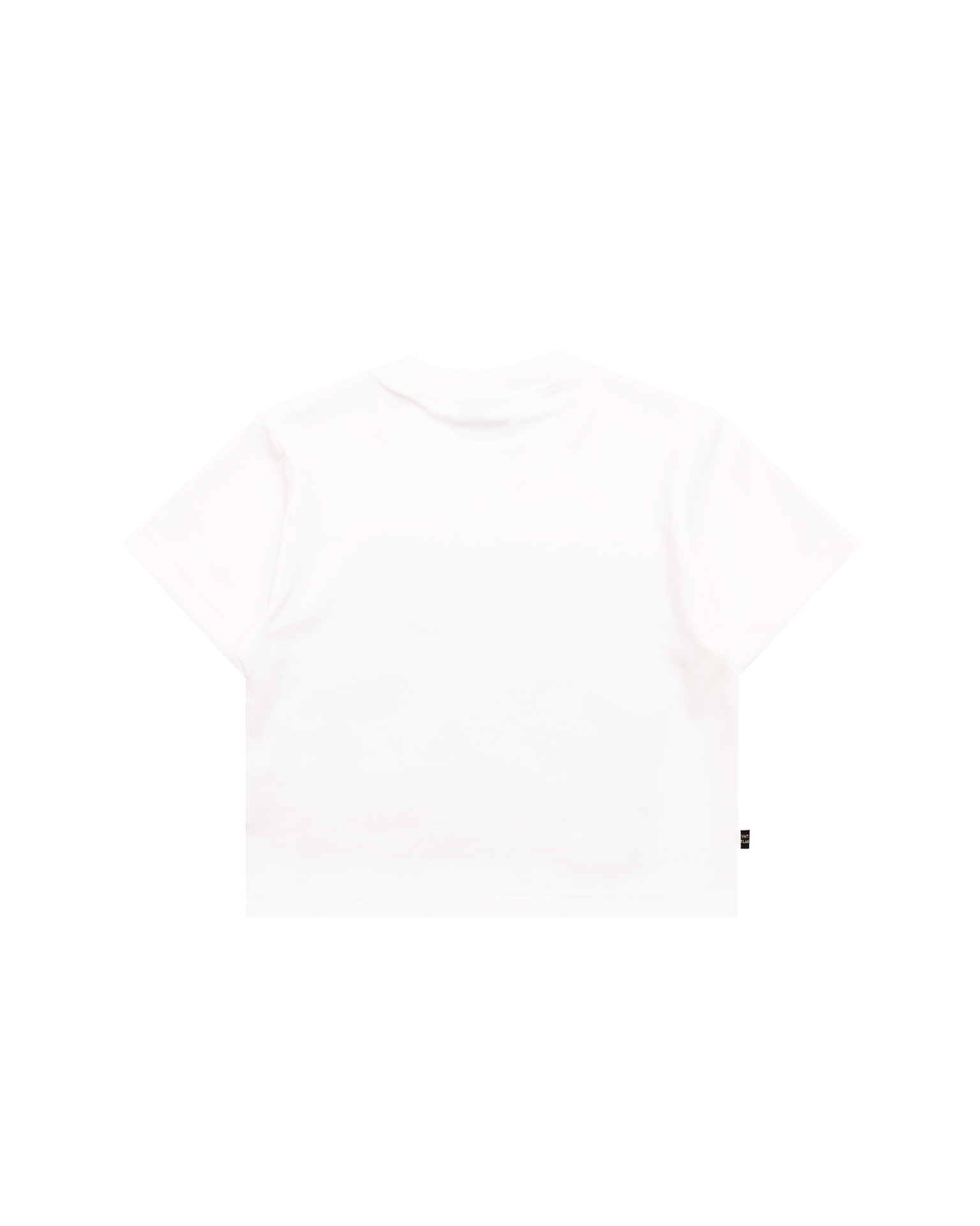 Aqua Title Crop Top White
