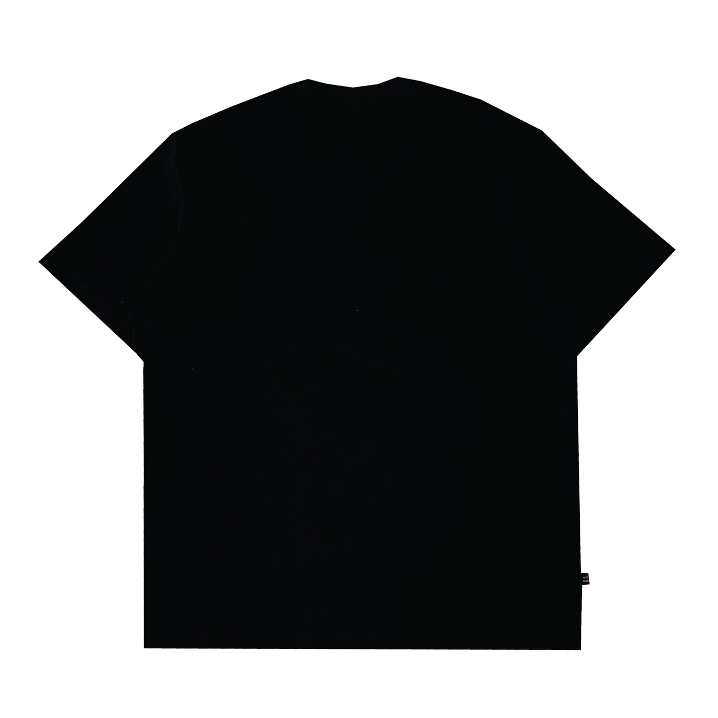 Everything Growing Up Tee < Black >